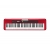 CASIO CT-S200 (RD) Keyboard 61 klawiszy-10813