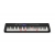 CASIO LK-S450 keyboard - 61 podświetlanych klawiszy dynamicznych (5 oktaw)-14045
