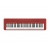 CASIO CT-S1 (RD) Czerwony keyboard 61 klawiszy dynamicznych (5 oktaw)-14074