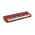 CASIO CT-S1 (RD) Czerwony keyboard 61 klawiszy dynamicznych (5 oktaw)-14076