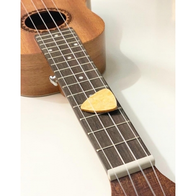FLYCAT C10C ukulele koncertowe-14901