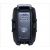 RH SOUND PP-2112ADX-CB HAND-HAND Zestaw mobilny: kolumna z akumulatorem i 2x mikrofon bezprzewodowy +Bluetooth +Radio +USB +MP3-16190